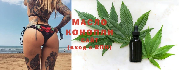 прущие грибы Дмитров