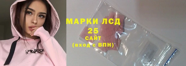 прущие грибы Дмитров