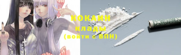 прущие грибы Дмитров