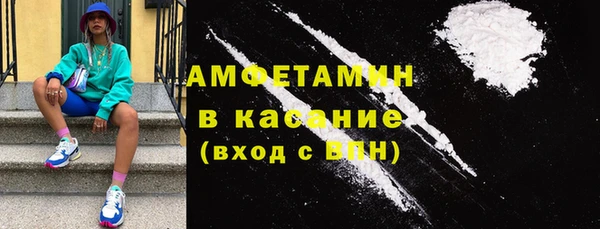 прущие грибы Дмитров